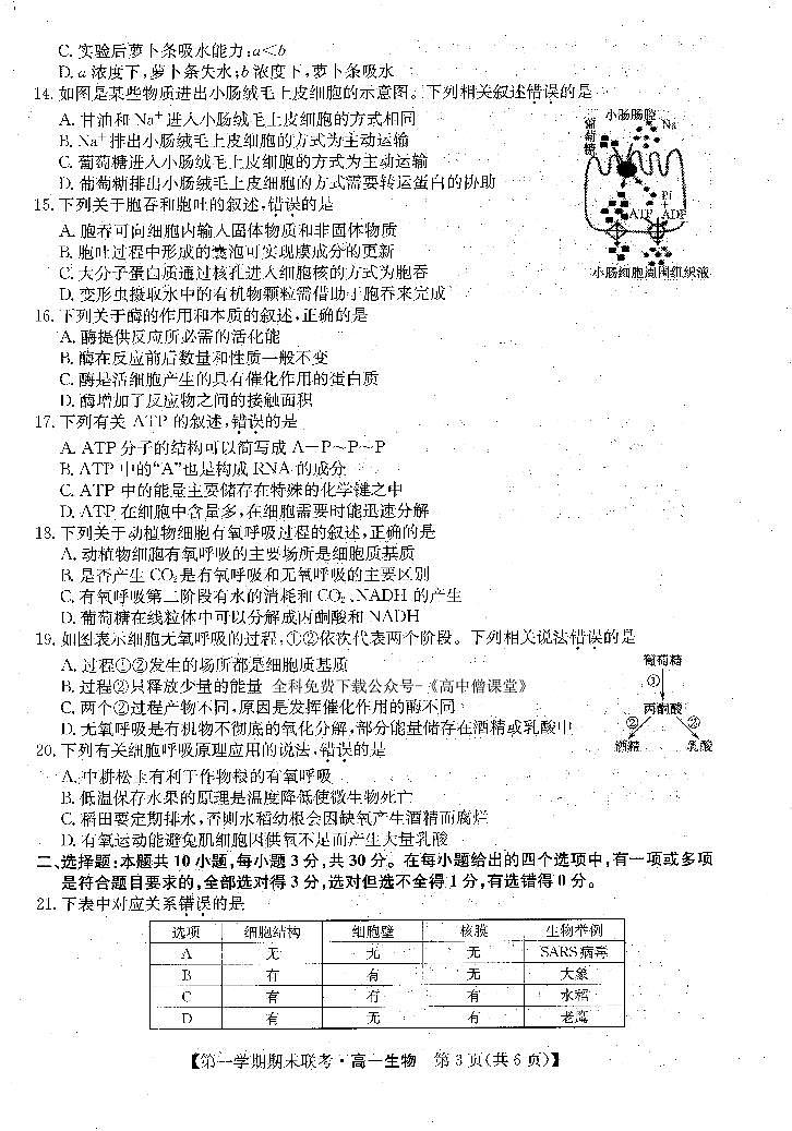 安徽省皖北地区2022-2023学年高一上学期期末联考生物试题第3页