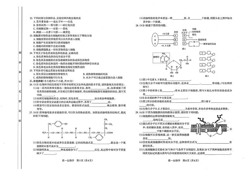 2022-2023学年山西省太原市高一上学期期中考试生物试卷PDF版第3页