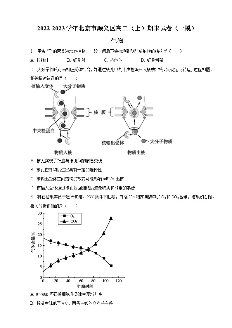 2022-2023学年北京市顺义区高三上学期期末生物试卷（一模）（word版）01