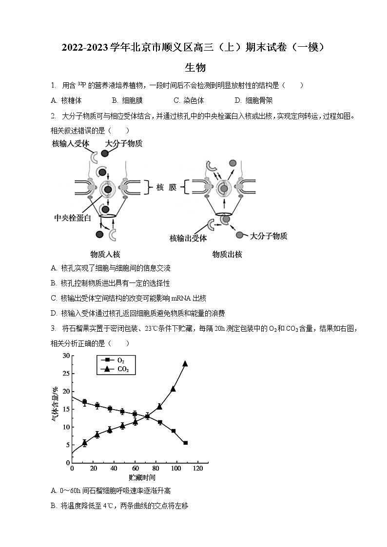 2022-2023学年北京市顺义区高三上学期期末生物试卷(一模)(word版)01