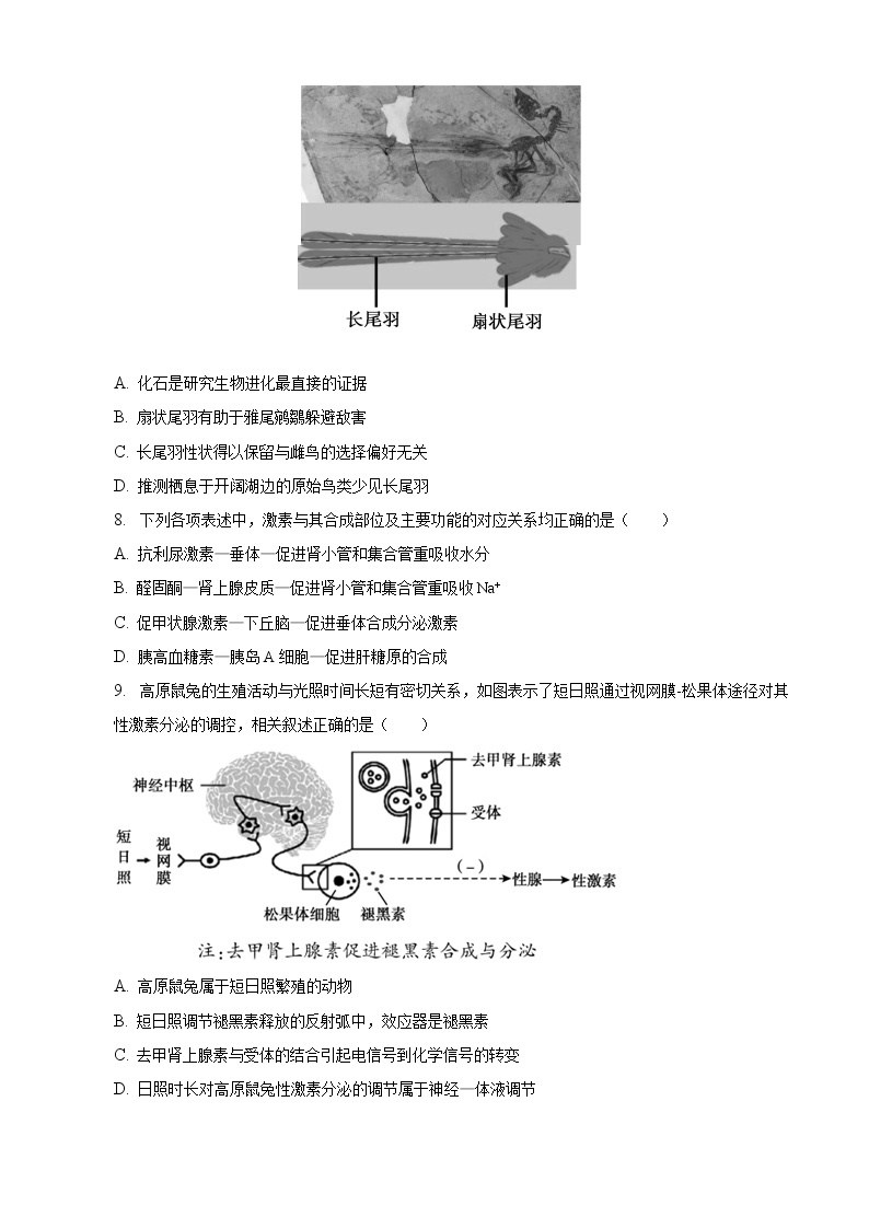 2022-2023学年北京市顺义区高三上学期期末生物试卷（一模）（word版）03