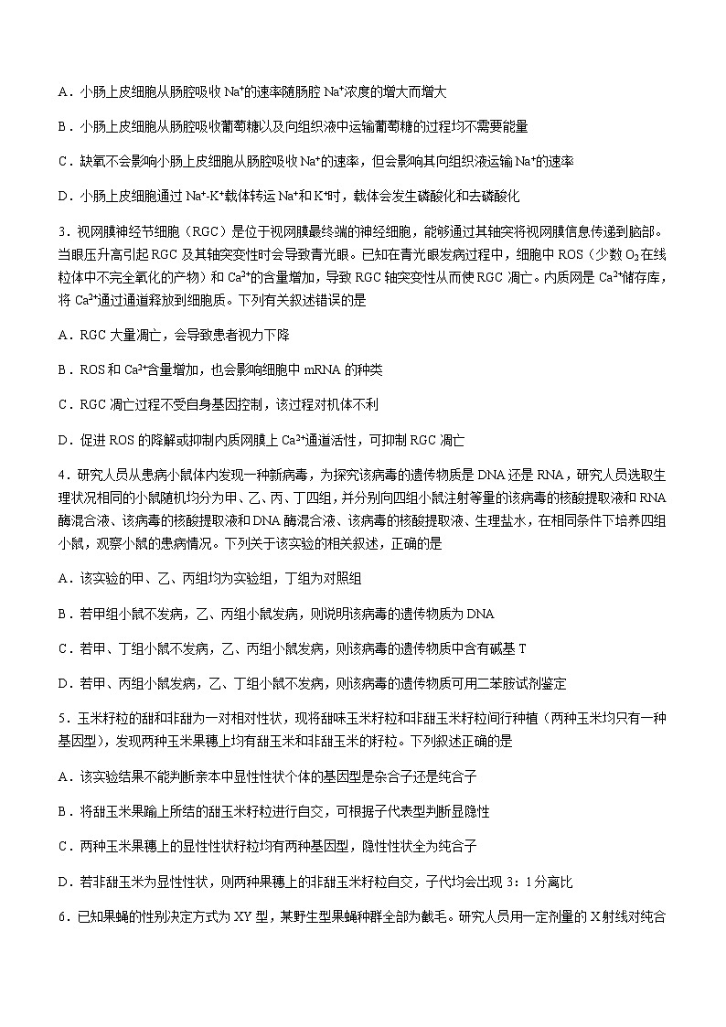 2022-2023学年辽宁省实验中学名校联盟高三上学期1月高考模拟调研卷(三)生物(解析版)第2页