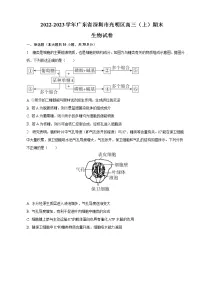 2022-2023学年广东省深圳市光明区高三上学期期末生物试卷（word版）