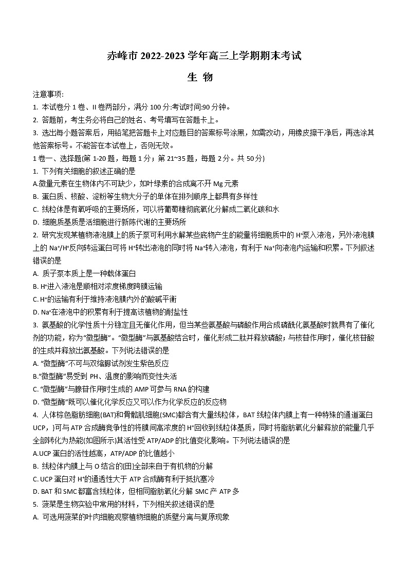 2022-2023学年内蒙古赤峰市高三上学期期末考试生物学试题(word版)第1页