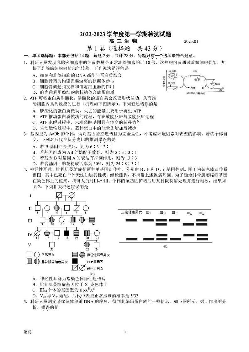 2023届江苏省扬州市高三上学期期末考试生物试卷 PDF版第1页