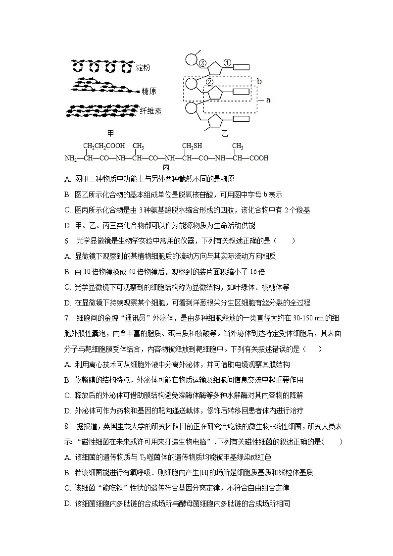 2022-2023学年安徽省定远县民族中学高一下学期开学考试生物试题02