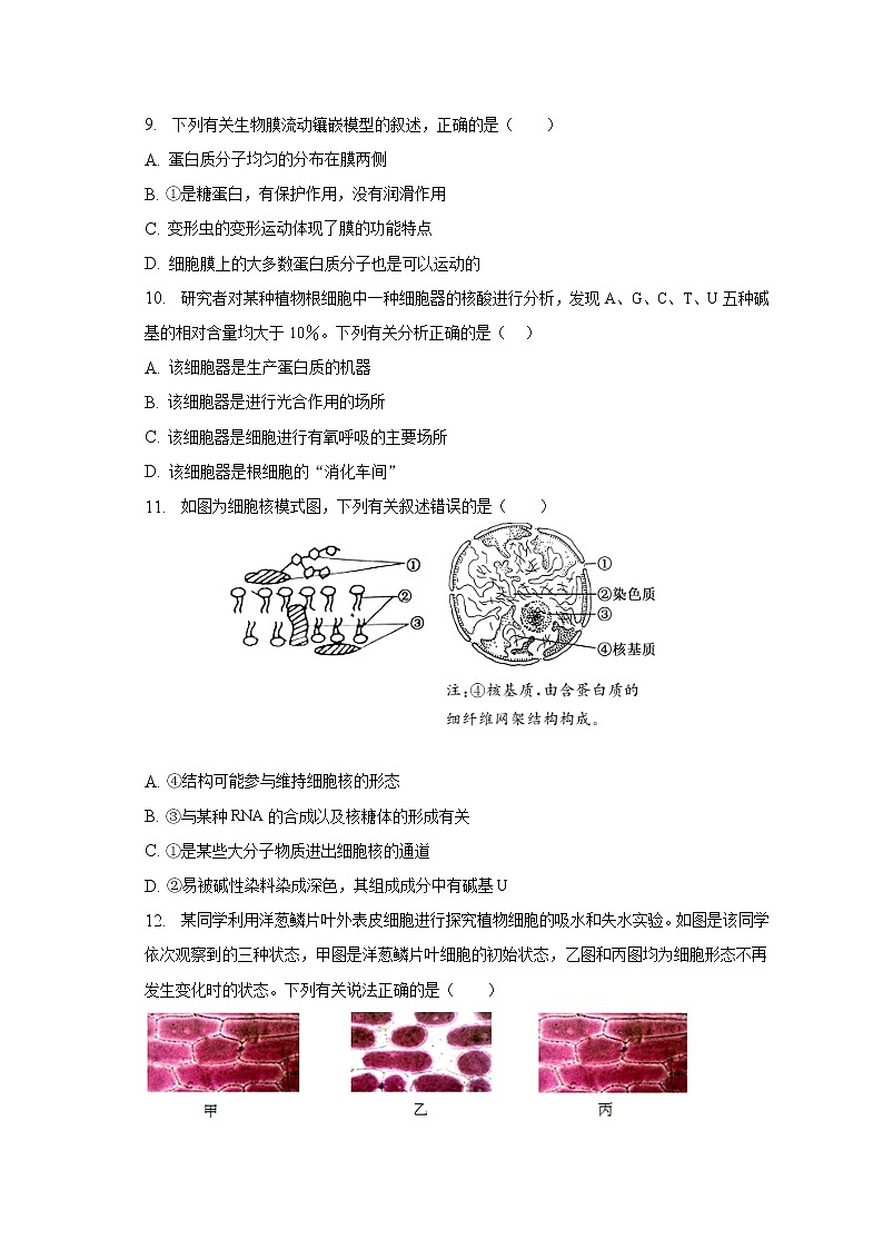 2022-2023学年安徽省定远县民族中学高一下学期开学考试生物试题03