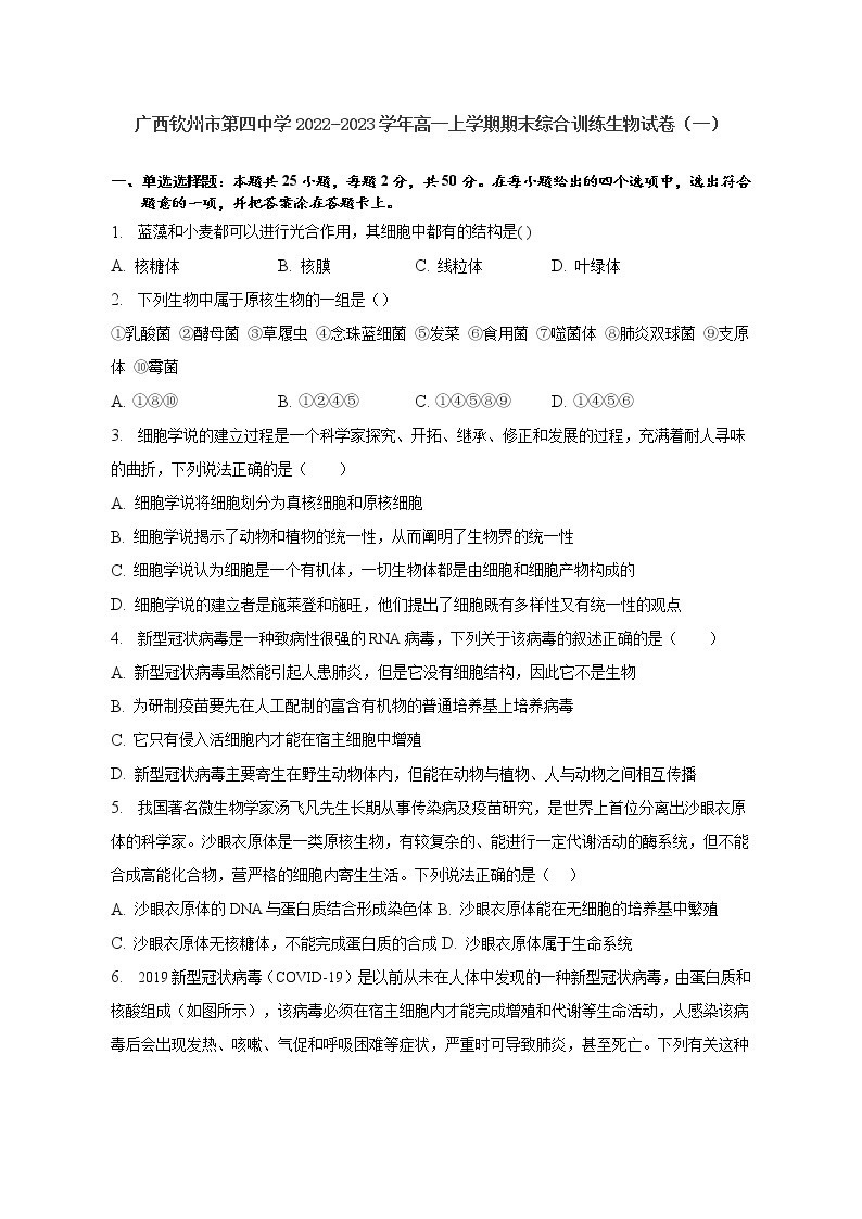 2022-2023学年广西钦州市第四中学高一上学期期末综合训练生物试卷（一）01