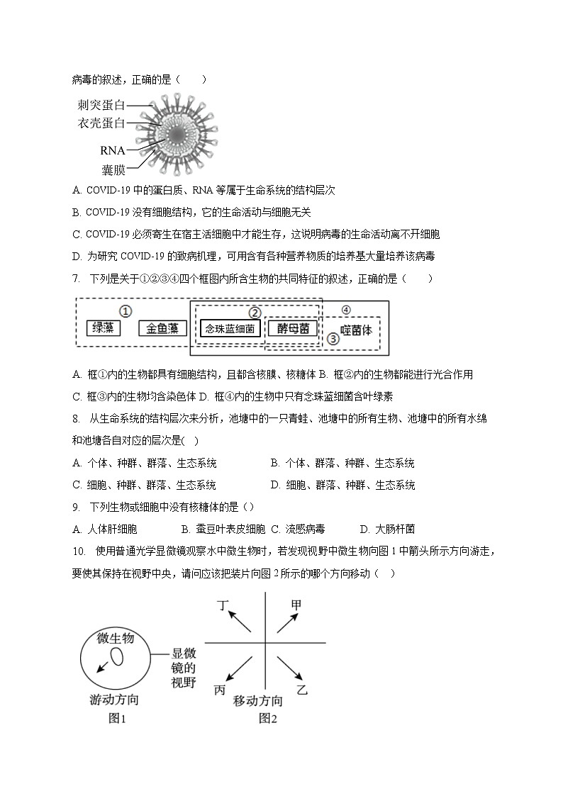 2022-2023学年广西钦州市第四中学高一上学期期末综合训练生物试卷(一)第2页