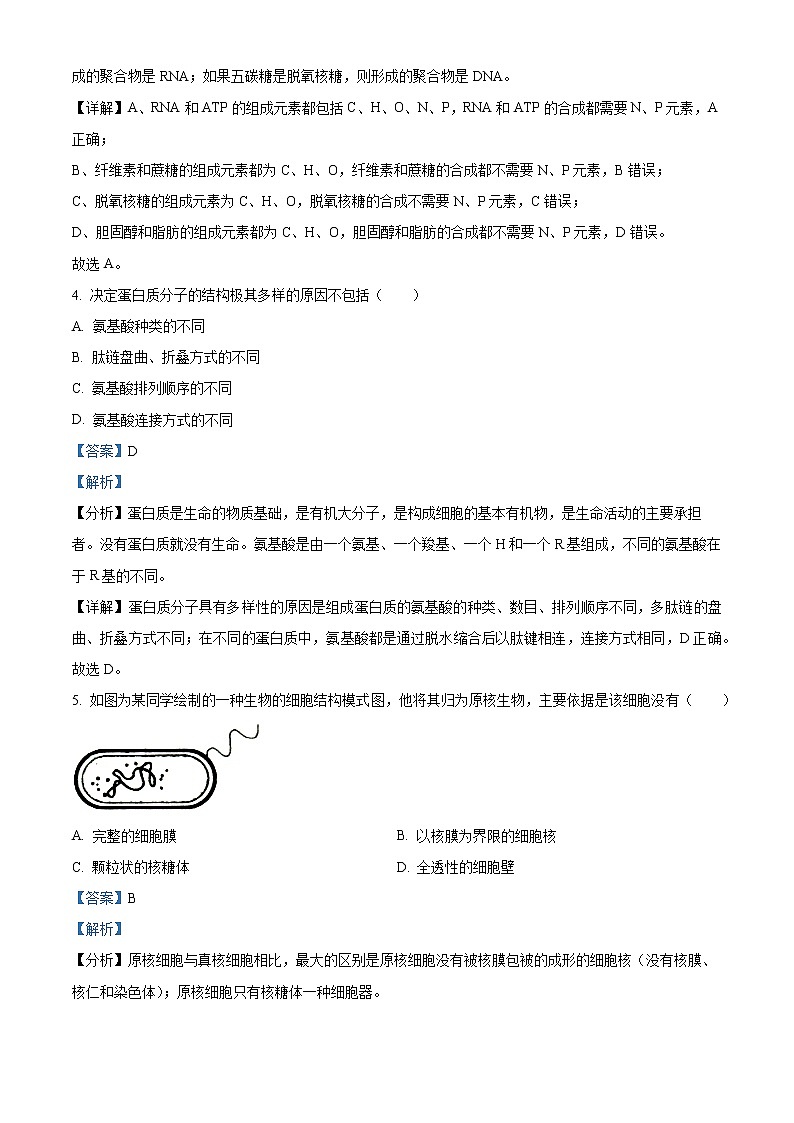 2022-2023学年广东省佛山市高一上学期期末生物试题(解析版)第2页