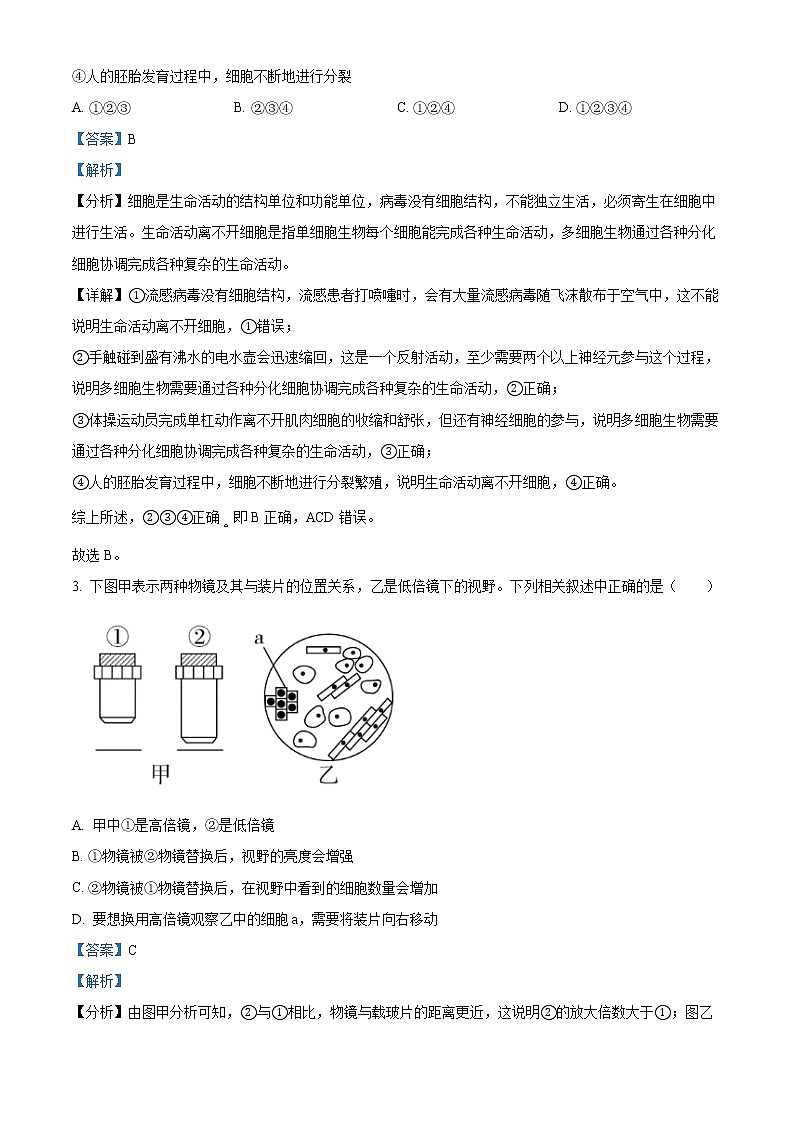 2022-2023学年吉林省长春市十一高中高一上学期第三学程考试生物试题(解析版)第2页