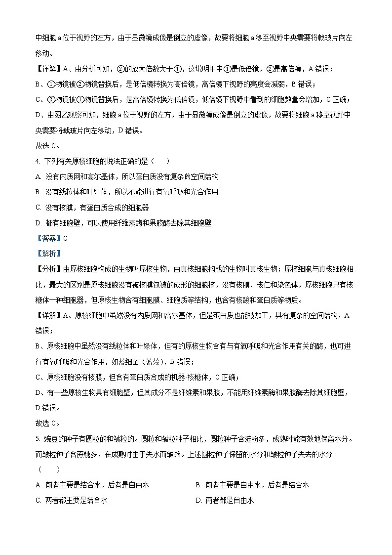 2022-2023学年吉林省长春市十一高中高一上学期第三学程考试生物试题(解析版)第3页