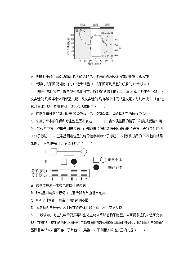 2023届北京市海淀区高三(上)期末生物试卷(含解析)第2页