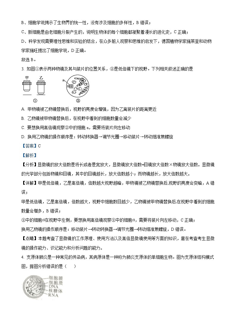 2022—2023学年福建省漳州市高一上学期期末教学质量检测生物试题(解析版)第2页