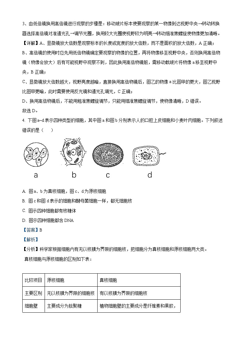 2022-2023学年河南省商丘市高一上学期期末生物试题(解析版)第3页