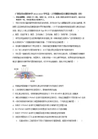 2022-2023学年广西钦州市第四中学高一上学期期末综合训练生物试卷（四）