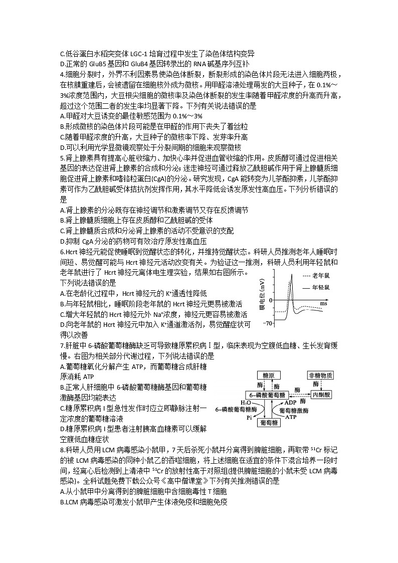 2023德州高三上学期期末考试生物含答案第2页