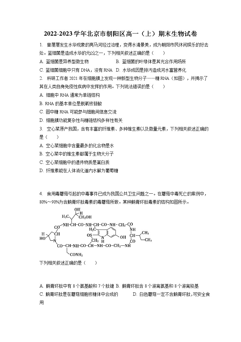 2022-2023学年北京市朝阳区高一(上)期末生物试卷(含答案解析)01