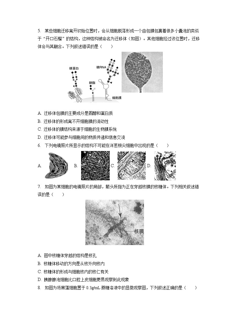 2022-2023学年北京市朝阳区高一(上)期末生物试卷(含答案解析)02