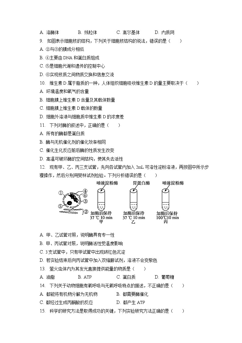 2022-2023学年北京市大兴区高一(上)期末生物试卷(含答案解析)第2页