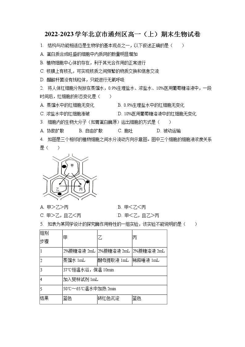 2022-2023学年北京市通州区高一(上)期末生物试卷(含答案解析)第1页