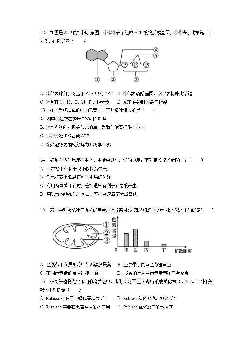 2022-2023学年江苏省南通市如皋市高一（上）期末生物试卷（含答案解析）03