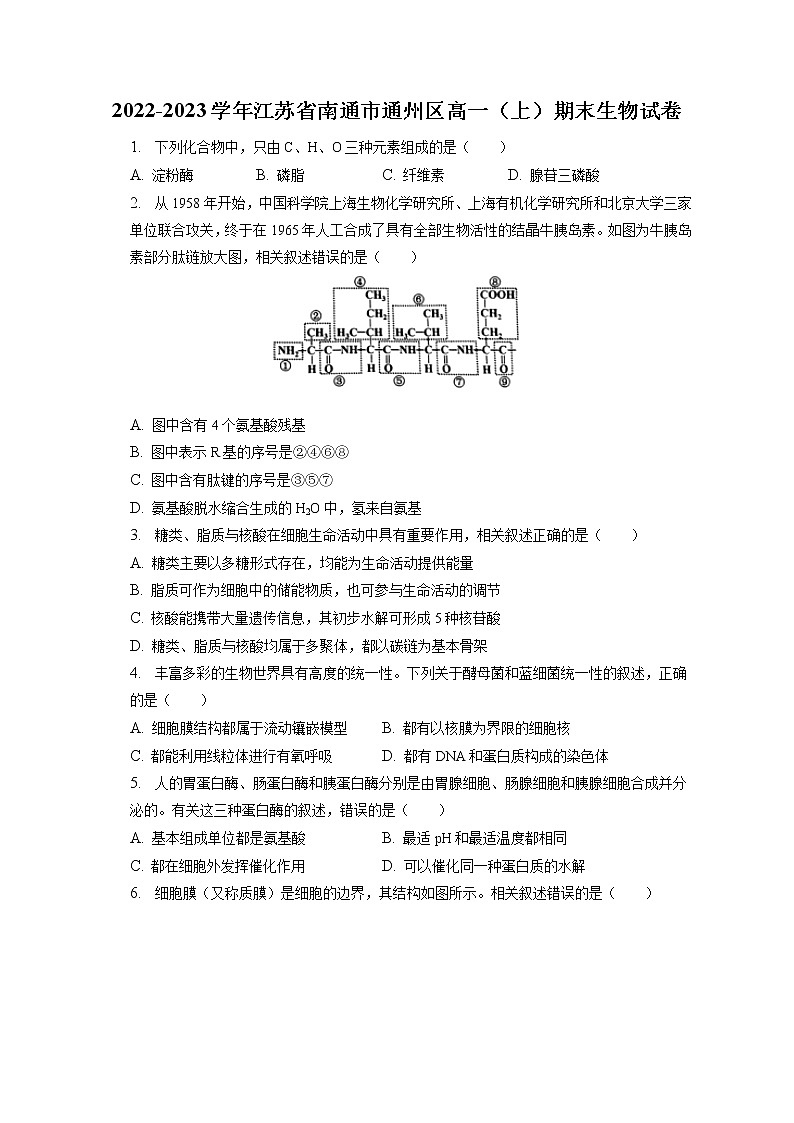 2022-2023学年江苏省南通市通州区高一(上)期末生物试卷(含答案解析)01