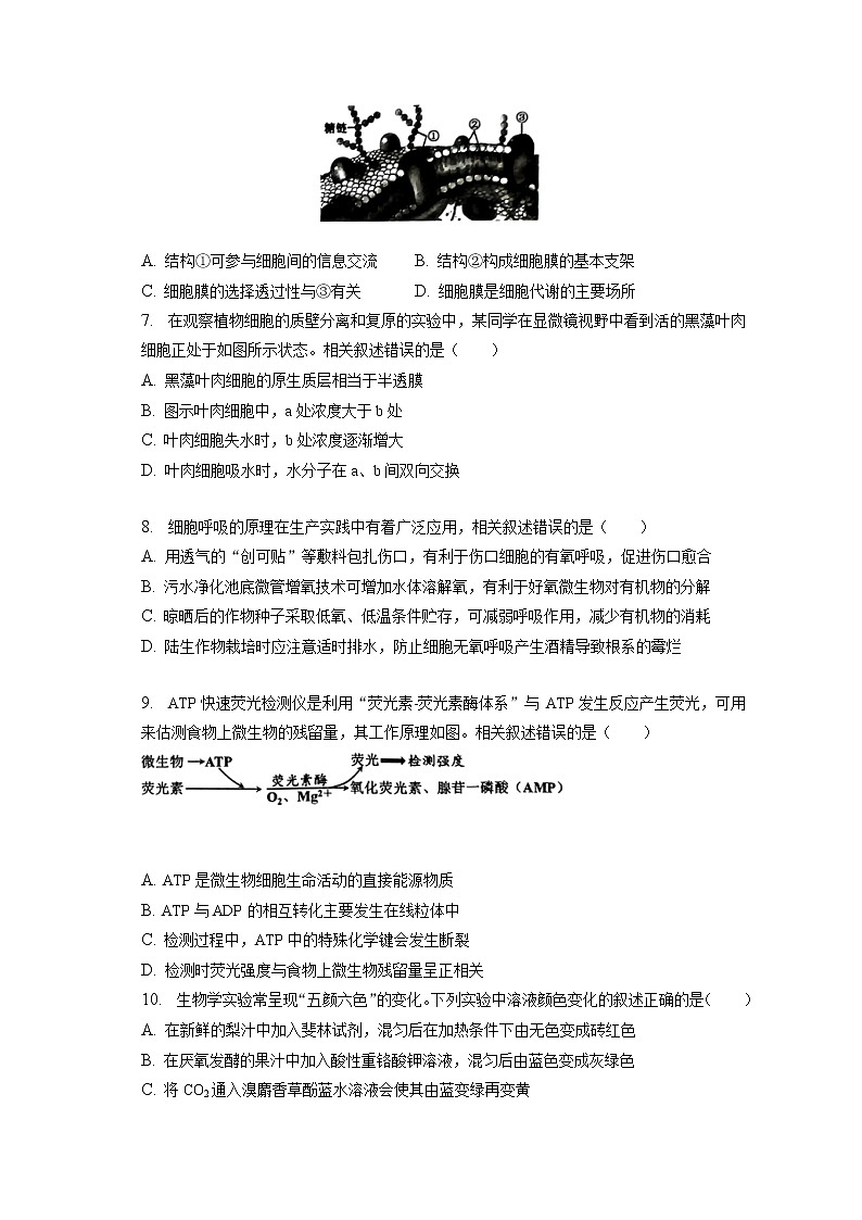 2022-2023学年江苏省南通市通州区高一(上)期末生物试卷(含答案解析)02