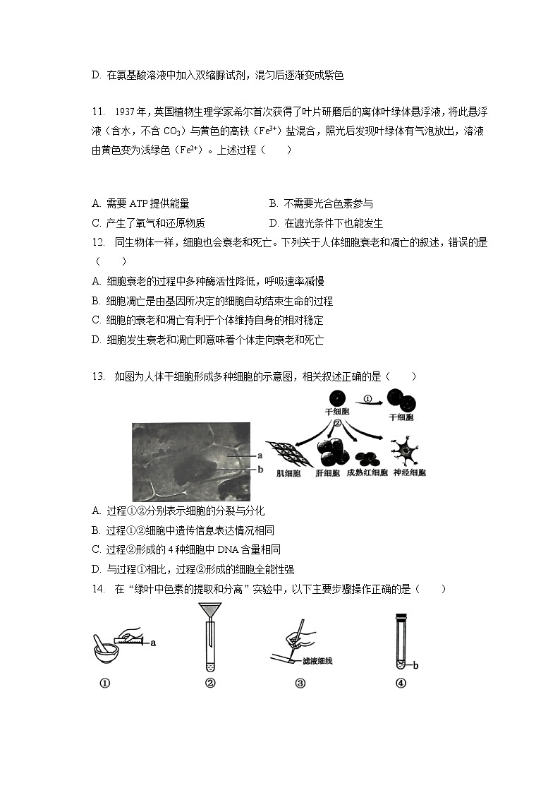 2022-2023学年江苏省南通市通州区高一(上)期末生物试卷(含答案解析)03