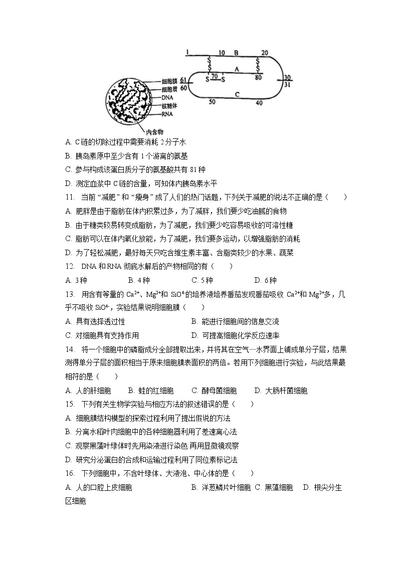 2022-2023学年江苏省苏州市高一（上）期末生物试卷-普通用卷（含答案解析）03