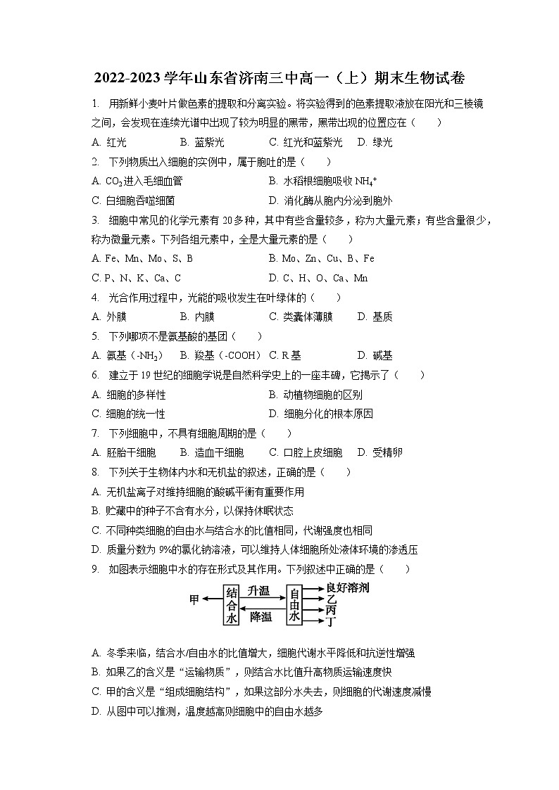 2022-2023学年山东省济南三中高一(上)期末生物试卷(含答案解析)第1页