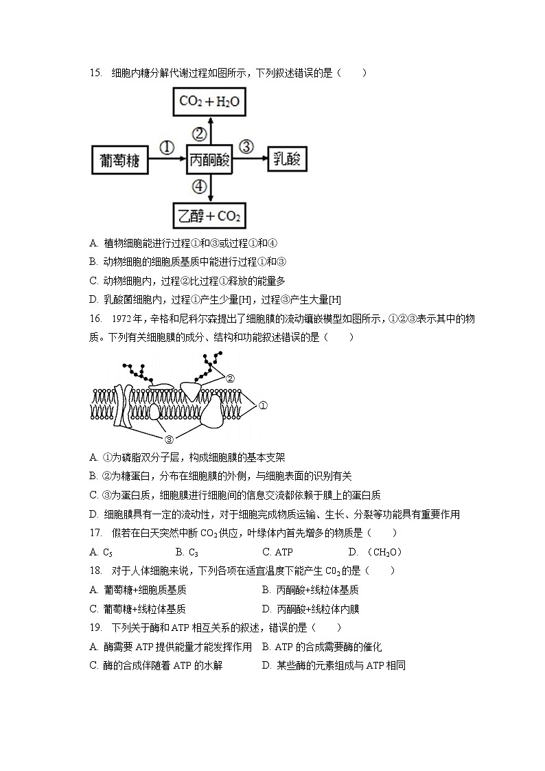 2022-2023学年山东省济南三中高一(上)期末生物试卷(含答案解析)第3页