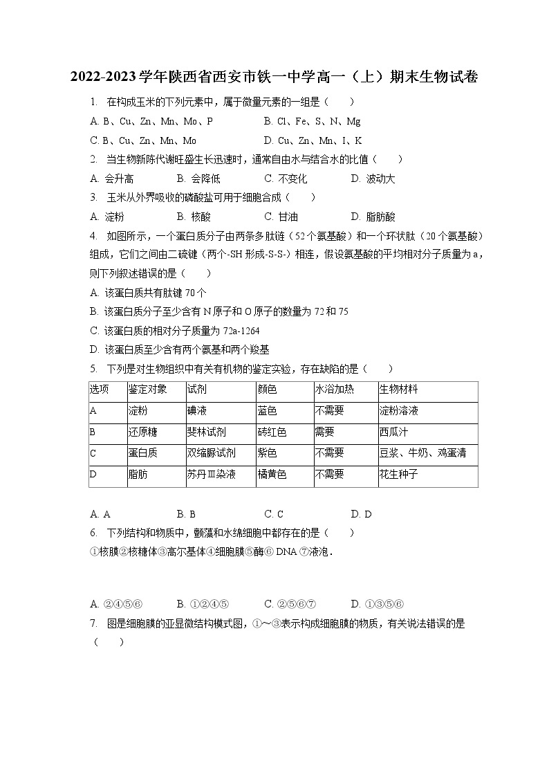 2022-2023学年陕西省西安市铁一中学高一（上）期末生物试卷（含答案解析）01