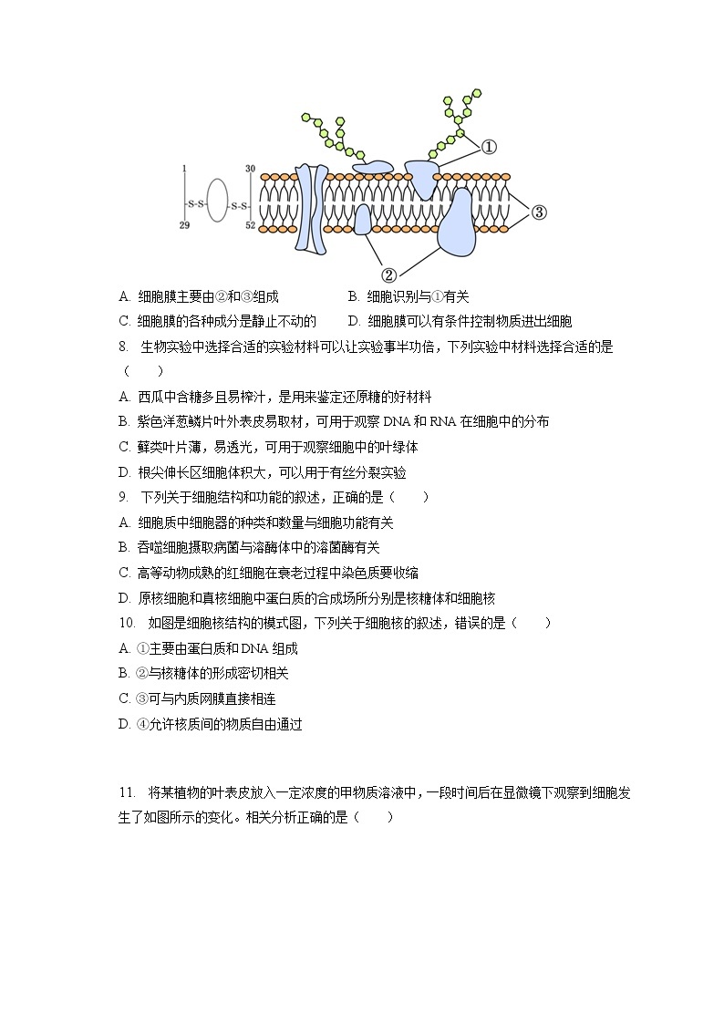 2022-2023学年陕西省西安市铁一中学高一（上）期末生物试卷（含答案解析）02