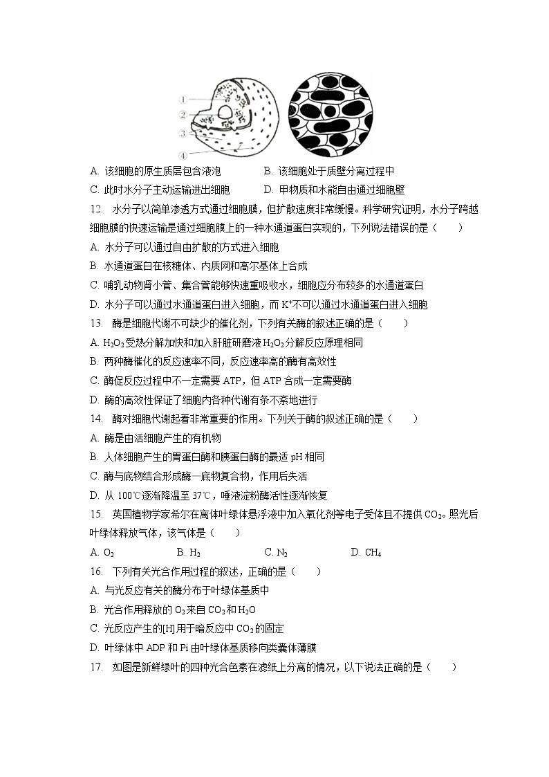 2022-2023学年陕西省西安市铁一中学高一（上）期末生物试卷（含答案解析）03