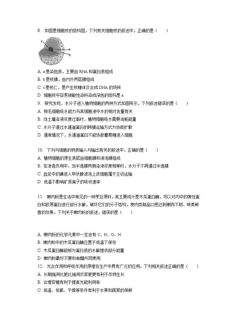 2022-2023学年四川省泸州市泸县四中高一(上)期末生物试卷(含答案解析)第2页