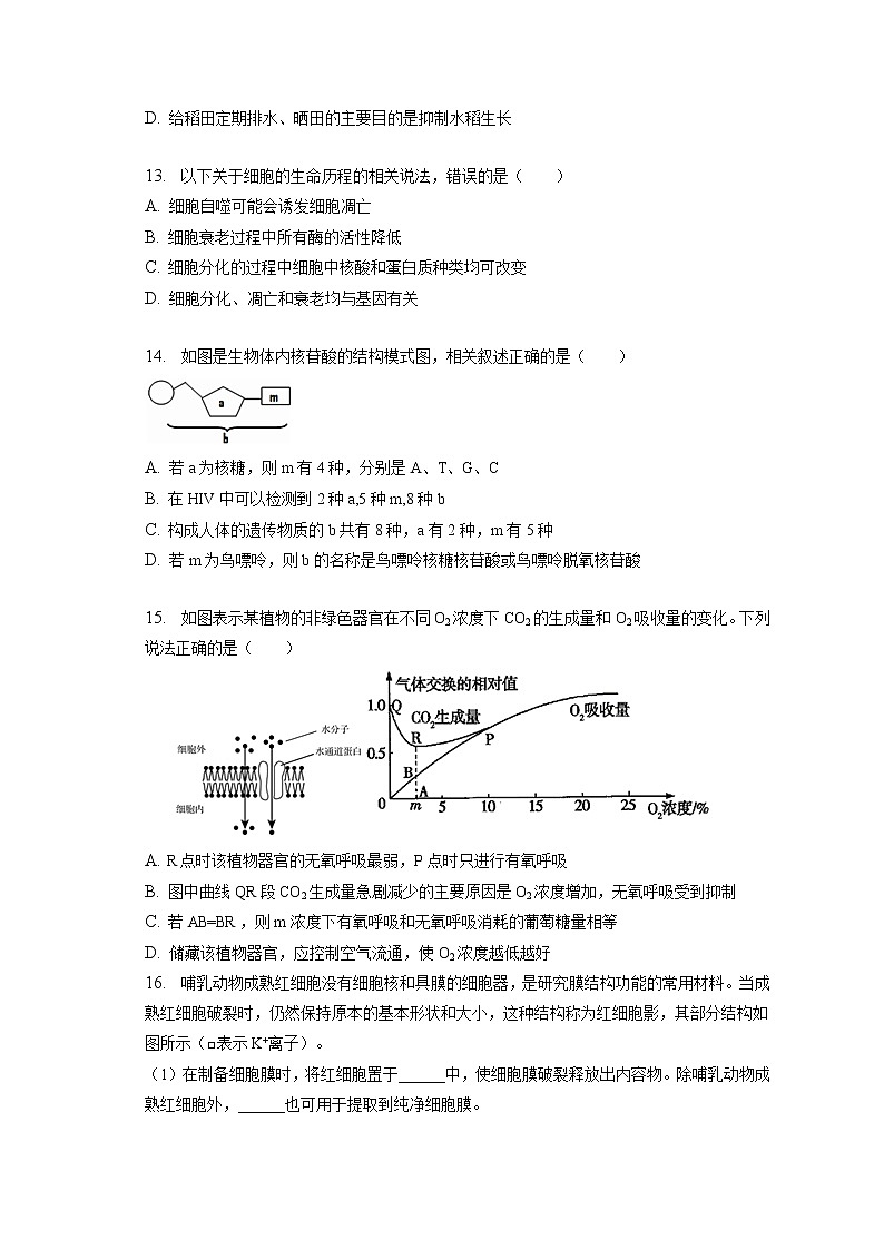 2022-2023学年四川省泸州市泸县四中高一(上)期末生物试卷(含答案解析)第3页