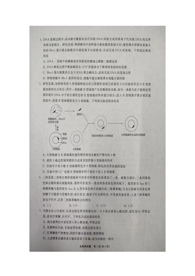 2023齐鲁名校(潍坊一中、师大附中等)高三下学期开学联考试题生物图片版无答案第2页