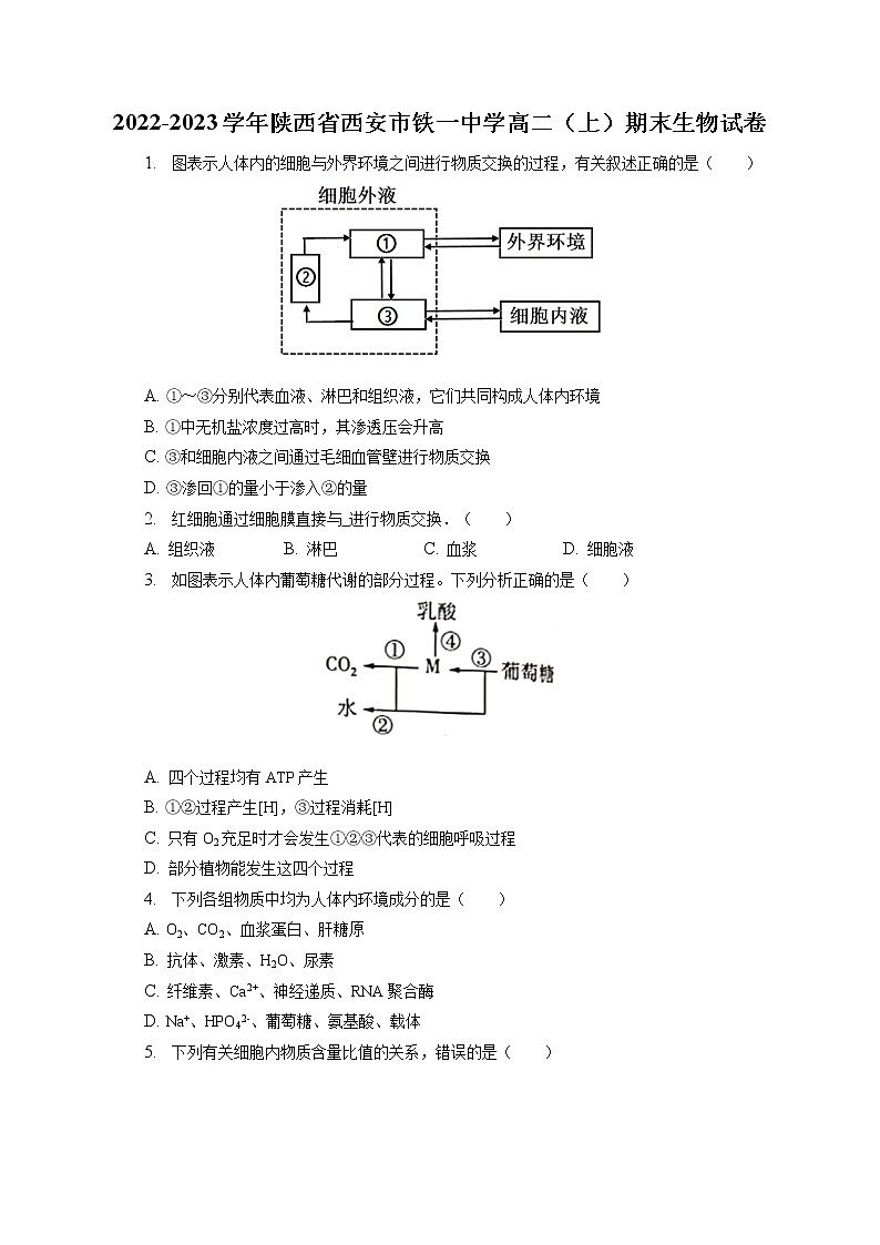2022-2023学年陕西省西安市铁一中学高二(上)期末生物试卷(含答案解析)01