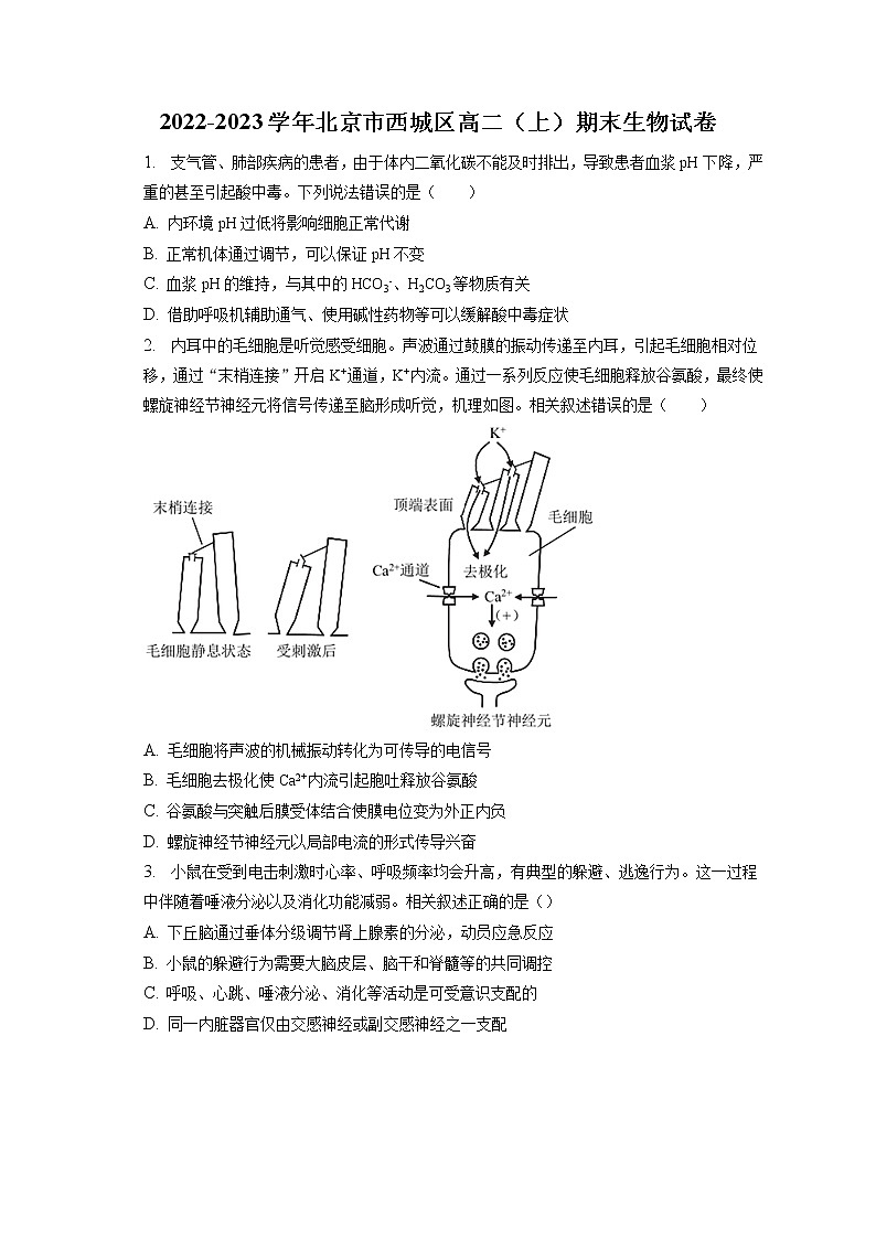 2022-2023学年北京市西城区高二(上)期末生物试卷(含答案解析)第1页