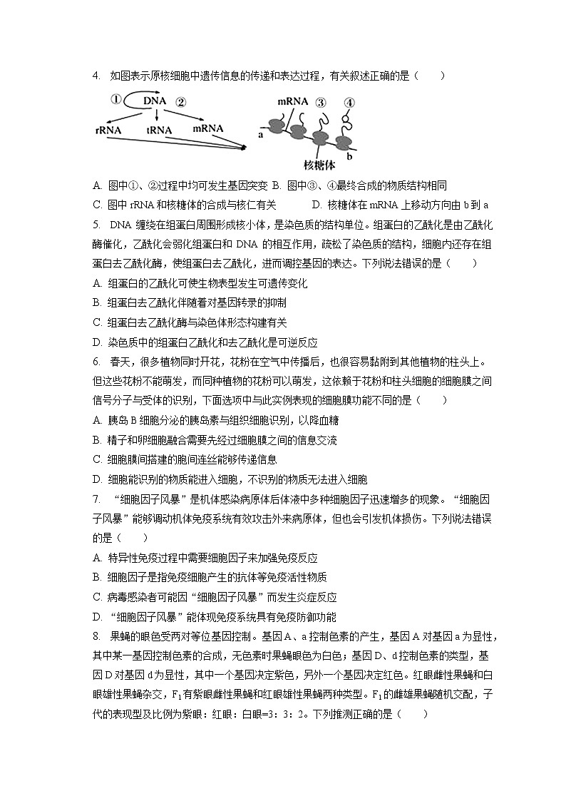 2022-2023学年安徽省合肥市肥东县综合高中高三(上)期末生物试卷(含答案解析)第2页