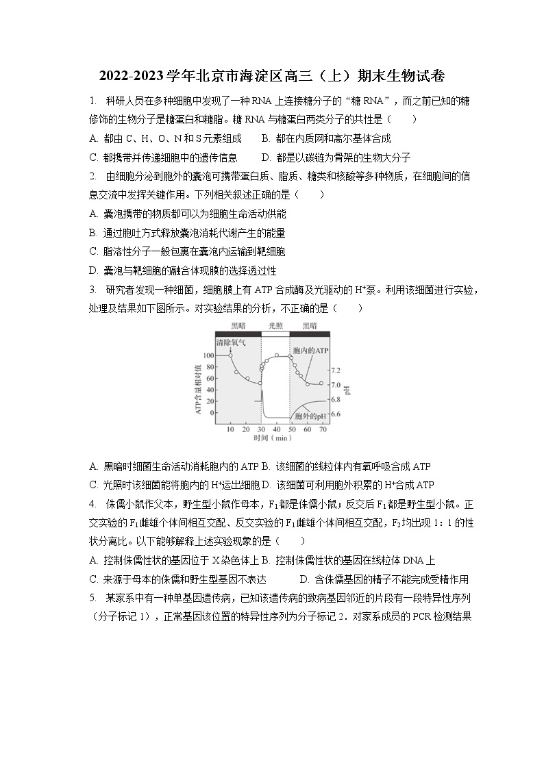 2022-2023学年北京市海淀区高三（上）期末生物试卷（含答案解析）01