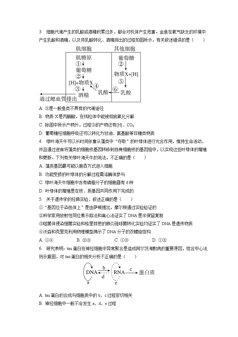 2022-2023学年广东省深圳市光明区高三(上)期末生物试卷(含答案解析)第2页