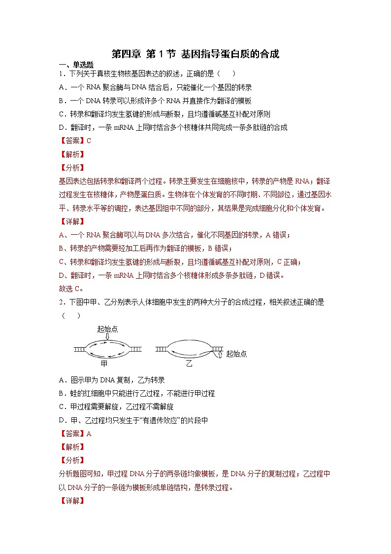 4.1 基因指导蛋白质的合成 课件+练习(人教版2019 必修2)01