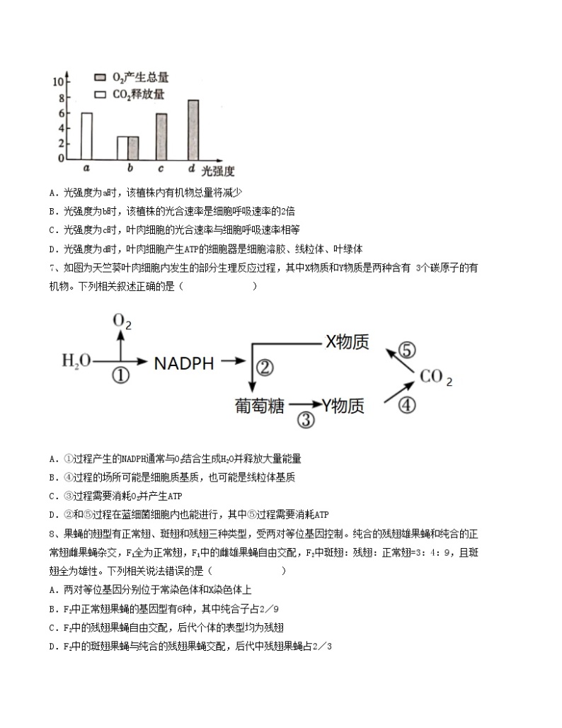 2023年高考第一次模拟考试卷：生物（广东A卷）（考试版）版(1)03