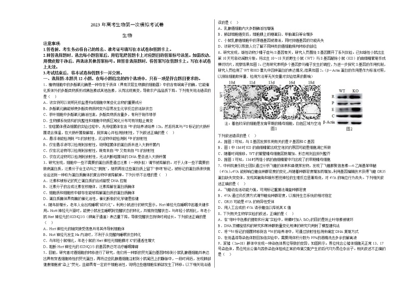 2023年高考第一次模拟考试卷：生物（湖南卷）（考试版）01