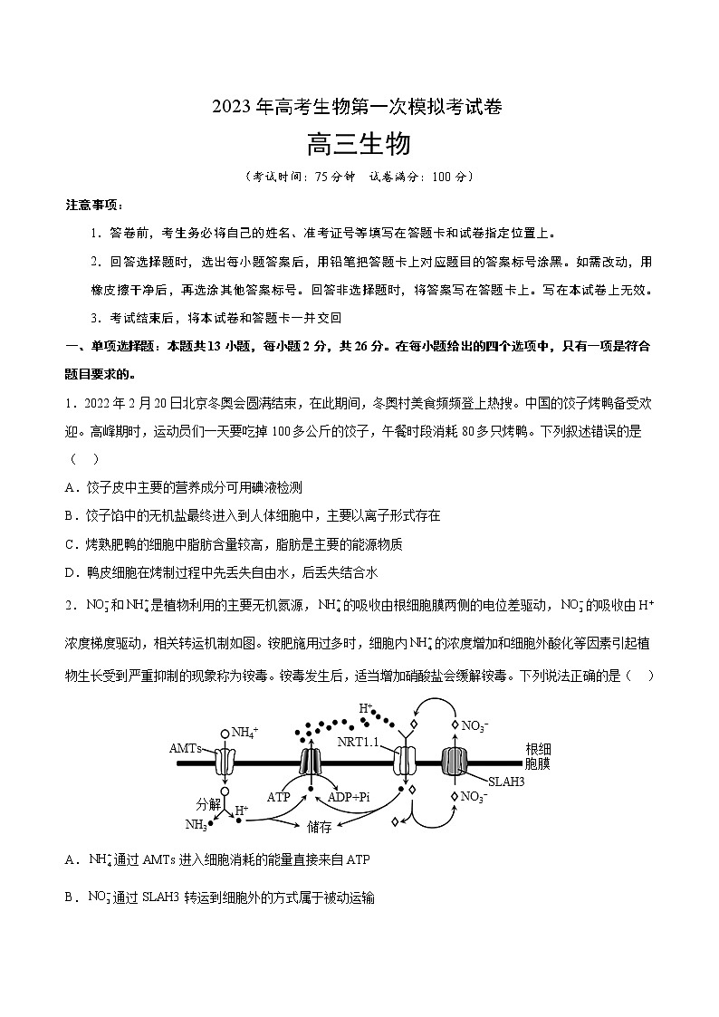 2023年高考第一次模拟考试卷:生物(河北卷)(考试版)(1)第1页
