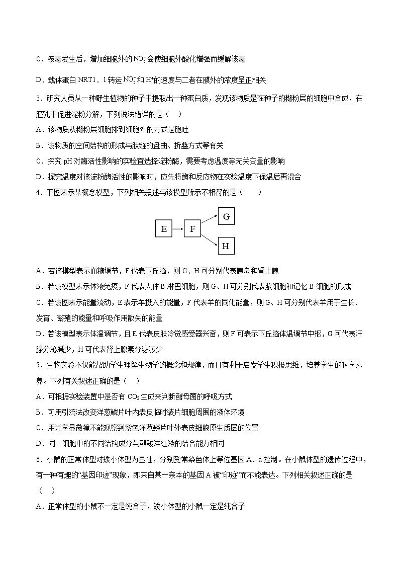 2023年高考第一次模拟考试卷:生物(河北卷)(考试版)(1)第2页