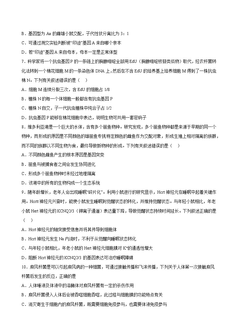 2023年高考第一次模拟考试卷:生物(河北卷)(考试版)(1)第3页