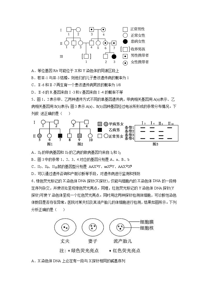 5.3 人类遗传病 课件+练习(人教版2019 必修2)02
